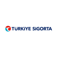 Çözüm ortağı